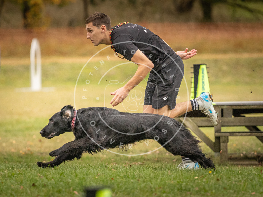 Pfotenfotografie_DV3A7656 | Hundefotografie, Tierfotograf, Pfotenfotografie, Fotoshooting Hund, Hunde Portrait, Hundesport, Hundeportraits, Heideshooting, Hunde, Sportfotograf, Hundefotograf, Turnierhundsport, THS,  - Realisiert mit Pictrs.com