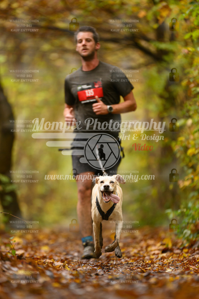 MompixPhotography_CD7S_DI_CCL-69 | mompixphotography