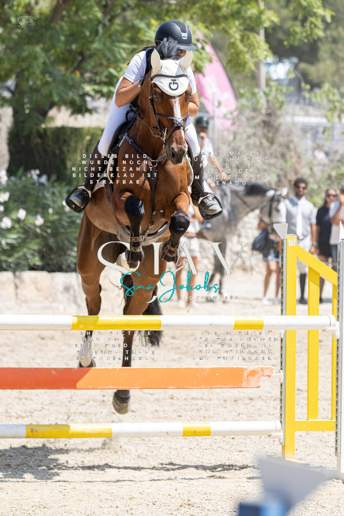 IMG_8018 | s-jay-photography - Realisiert mit Pictrs.com