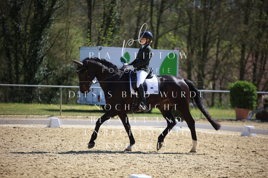 IMGT7722 | pl-fotografie