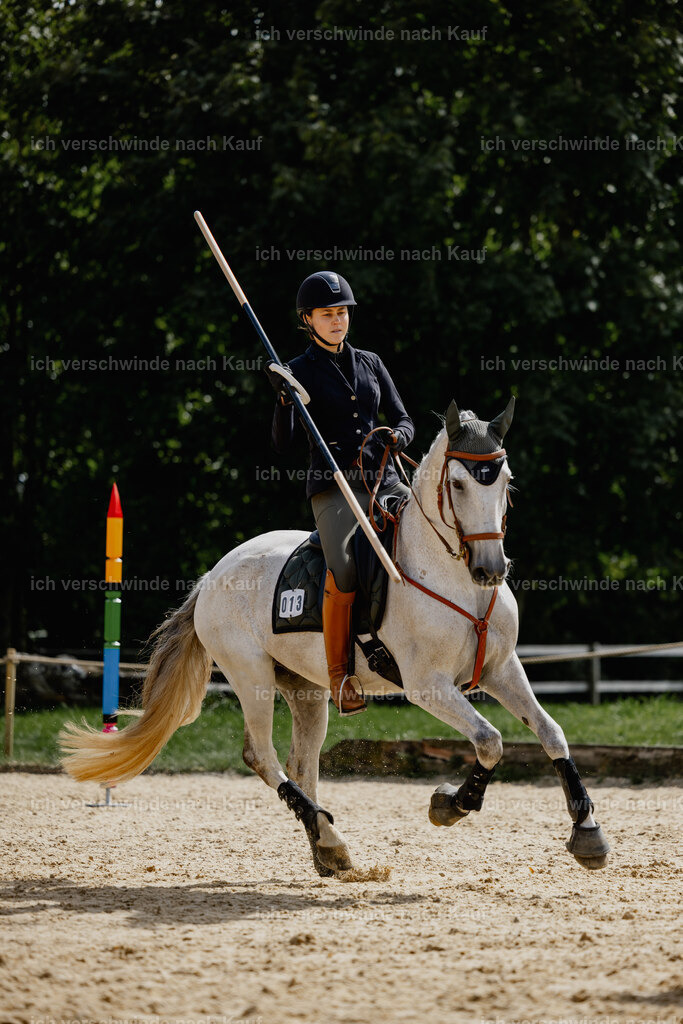 Svea13FHC2025-20471 | working equitationturnier fotograf videograf stoibphotography marixx film working equitation deutschland reitsport turnierfotografie eventfotografie equestrian events