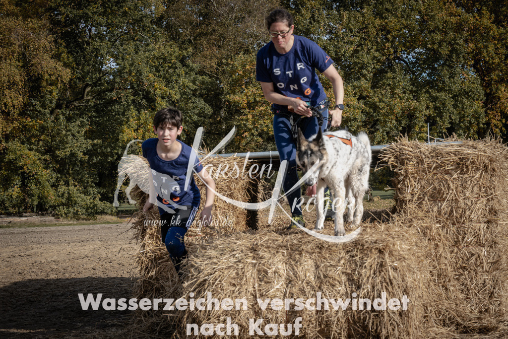 1158_ZZ93348 | kk-dogfotos