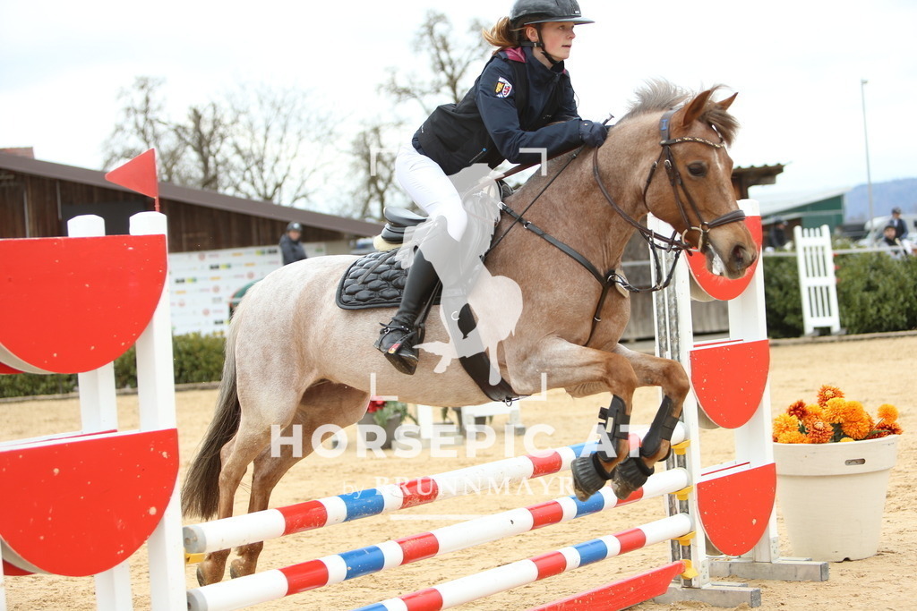 DL2Q1899 | Willkommen bei Brunnmayr - Design & Fotografie – Ihrem Spezialisten für Reitturniere und Pferdeveranstaltungen in Oberösterreich, Salzburg und Bayern! Seit über 17 Jahren sind wir leidenschaftlich dabei.