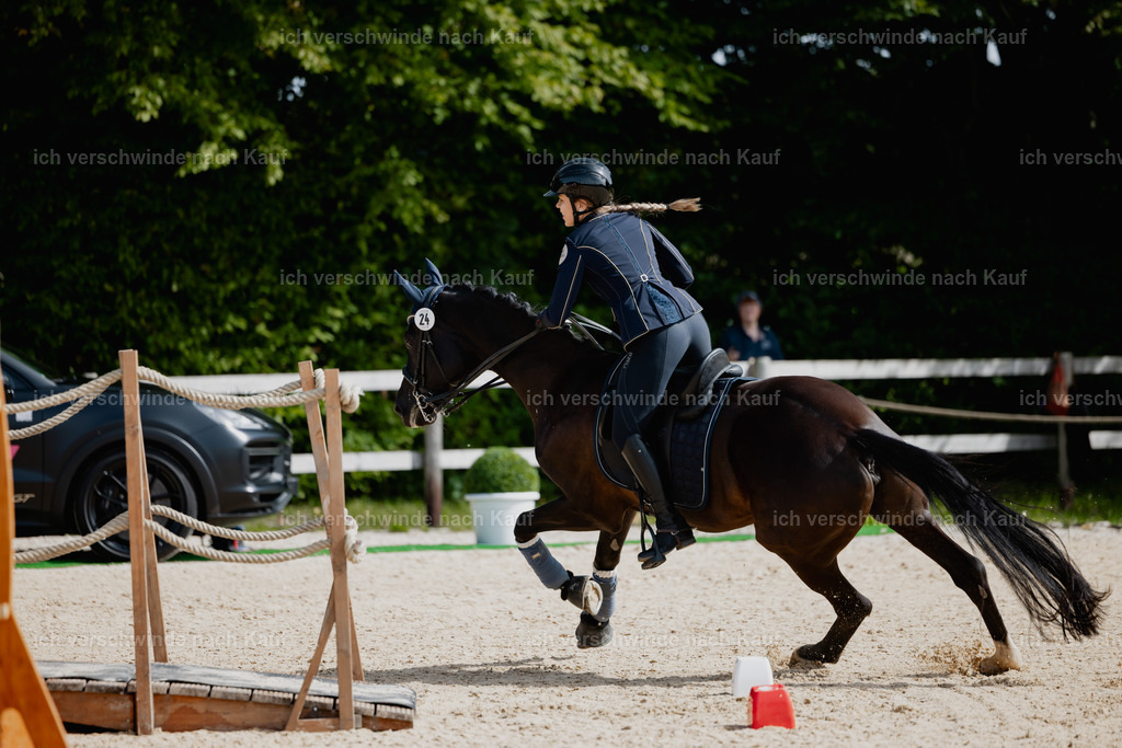 Leonie24_FHC2025-57 | working equitationturnier fotograf videograf stoibphotography marixx film working equitation deutschland reitsport turnierfotografie eventfotografie equestrian events