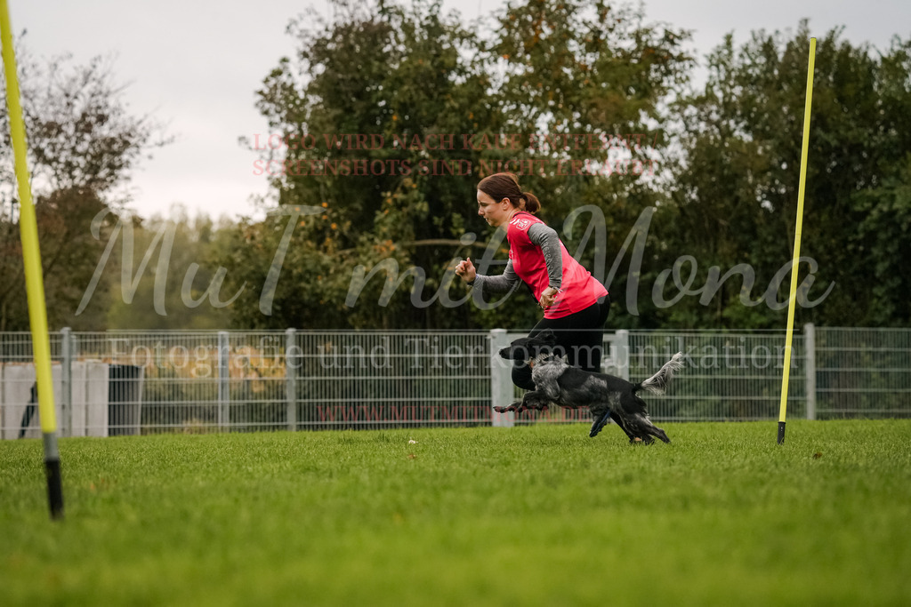 20251005_THS_Turnier-408 | MuT (Mensch und Tier) mit Mona - Fotografie und Tierkommunikation - Realisiert mit Pictrs.com