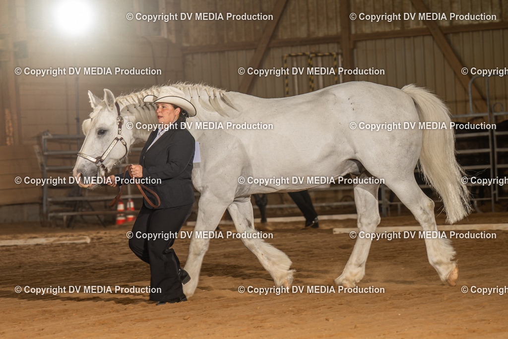 NID02416 | dv-media-shop - Realisiert mit Pictrs.com