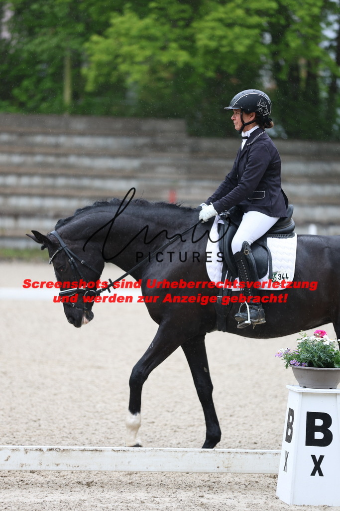 A40A7143 | lmwpictures - Realisiert mit Pictrs.com