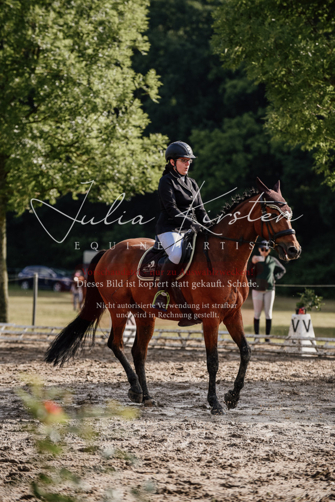 DSC_8534 | Pferde- und Turnierfotografie in Westsachsen. Pferdeportraits, Auftragszeichnungen und intuitive Kunst.