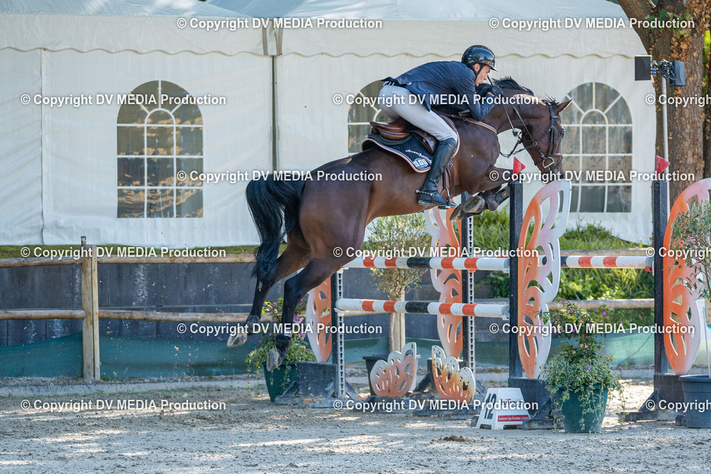 Hessische Tag 1-1048 | dv-media-shop - Realisiert mit Pictrs.com