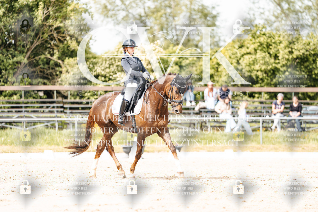 CK901311 | Turnierfotografie Pferdefotografie Trier Rheinland-Pfalz Pferdesport Reitsport Tierfotografie Sportfotografie Pferdevideo Pferdevideografie Equestrianvideography equestrianphotography  - Realisiert mit Pictrs.com