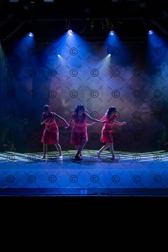 Ballettaufführung-104 | Bildershop Lem'n Entertainment - Realisiert mit Pictrs.com