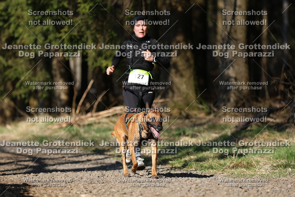 Dog Paparazzi - VCC26-45 | Dog Paparazzi Jeanette Grottendiek Fotografie & Videografie - Realisiert mit Pictrs.com
