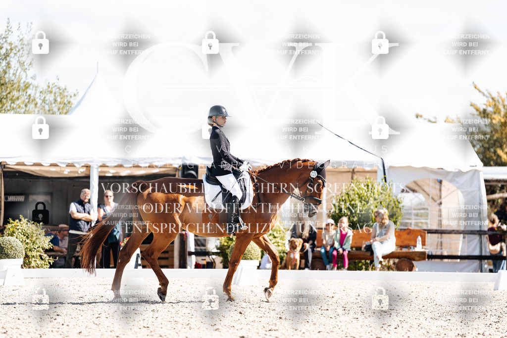 CK902880 | Turnierfotografie Pferdefotografie Trier Rheinland-Pfalz Pferdesport Reitsport Tierfotografie Sportfotografie Pferdevideo Pferdevideografie Equestrianvideography equestrianphotography  - Realisiert mit Pictrs.com