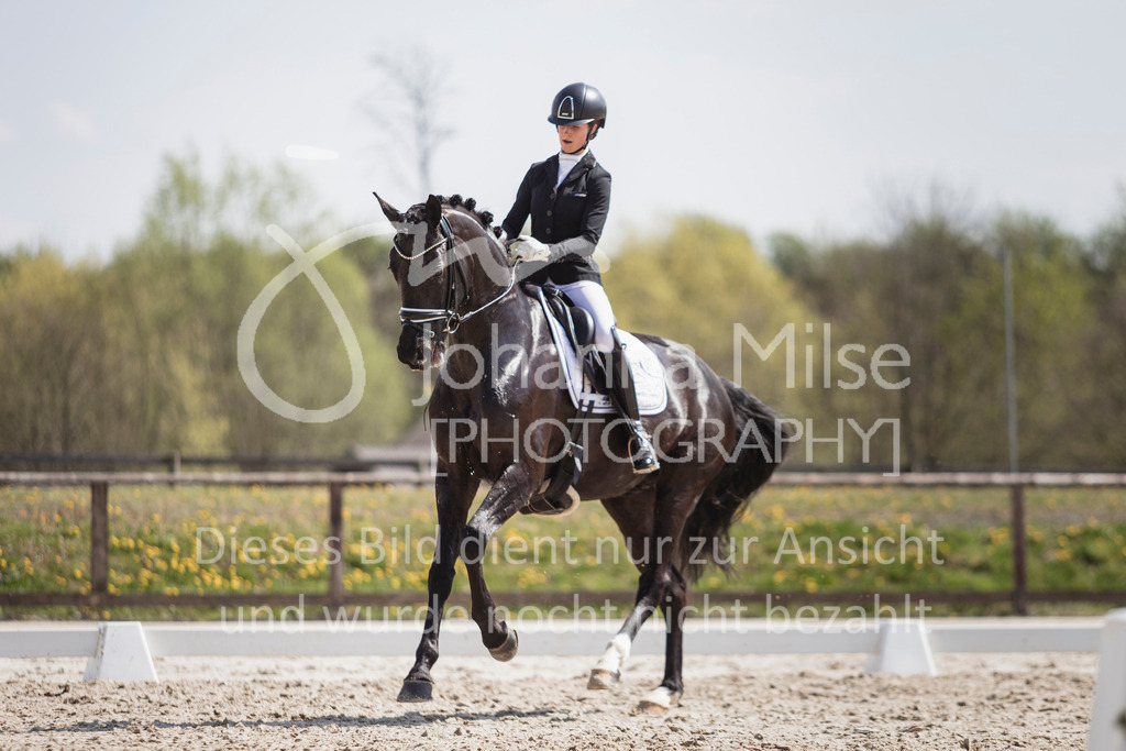 250416_Dressurpferde-L-256 | Deine schönsten Turniermomente als professionelle Fotos! Entdecke hochwertige Pferdesport-Fotografie im Online-Shop. Jetzt Fotos finden & bestellen!