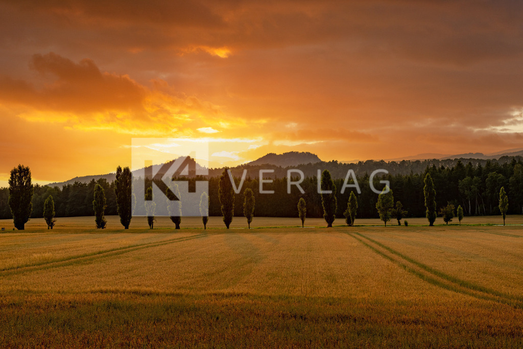 Wandbild-Baerensteine-Napoleonstrasse-0U3A6882 | Napoleonstraße am Lilienstein mit den Bärensteine im Hintergrund im Sonnenuntergang - Realisiert mit Pictrs.com