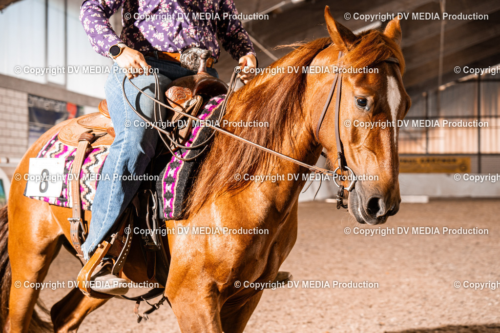 ZH100384 | dv-media-shop - Realisiert mit Pictrs.com