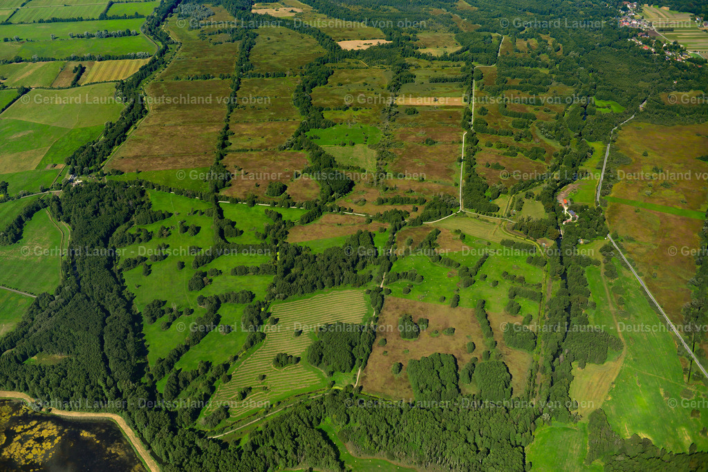 3637271 | RADDUSCH 25.08.2016 Grasflächen- Strukturen einer Wiesen- und Feld Landschaft in der Auen- Niederung  in Raddusch im Spreewald im Bundesland Brandenburg, Deutschland // Grassland structures of a meadow and field landscape in the lowland  in Raddusch at Spreewald in the state Brandenburg, Germany Foto: Gerhard Launer