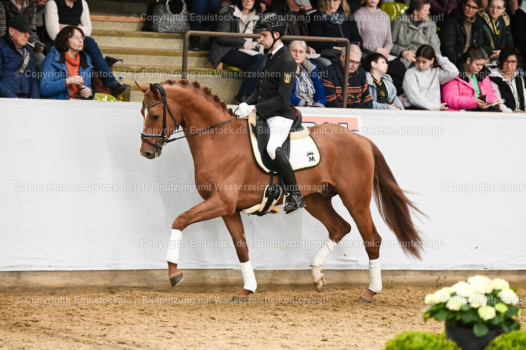 20260307_Hengstvorstellung-Marbach_0280 | equistock