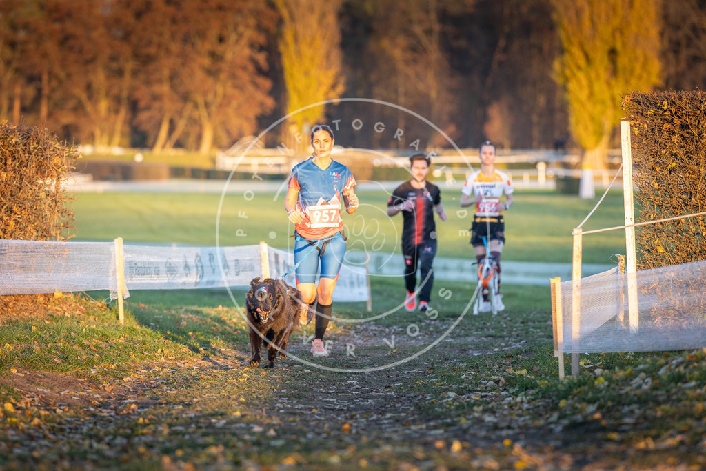 CaniXpix_DV3A5713 | Hundefotografie, Tierfotograf, Pfotenfotografie, Fotoshooting Hund, Hunde Portrait, Hundesport, Hundeportraits, Heideshooting, Hunde, Sportfotograf, Hundefotograf, Turnierhundsport, THS,  - Realisiert mit Pictrs.com