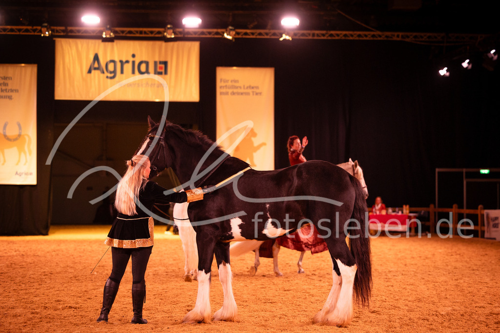 846A6310 | fotosleben - Realisiert mit Pictrs.com