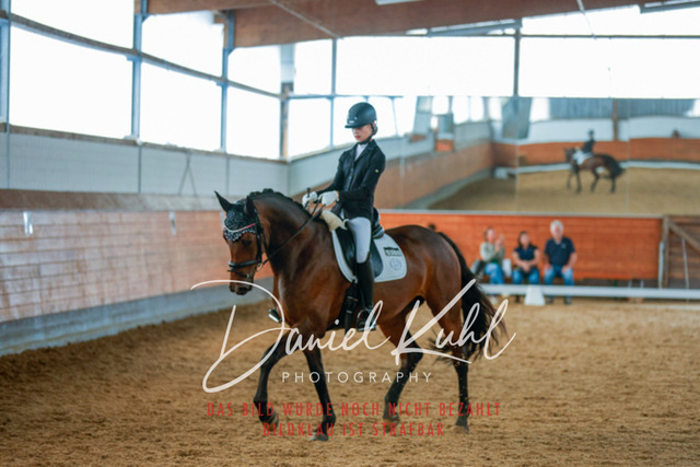 _62_6029 | Turniersportfotografie; Pferdefotografie; Dressurfotografie