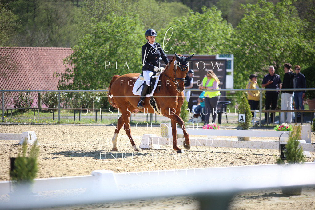 IMGT8279 | pl-fotografie