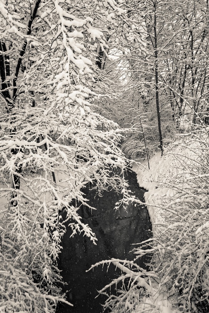 Winterimpressionen bei Rimpar  49_ 51_ 7_938_ N   9_ 57_ 36_402_ O | Buchen Sie ein Fotoshooting in Würzburg oder Umgebung bequem online in meinen Webshop.