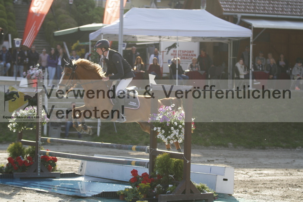 _MG_1500 | equestrian-live-com