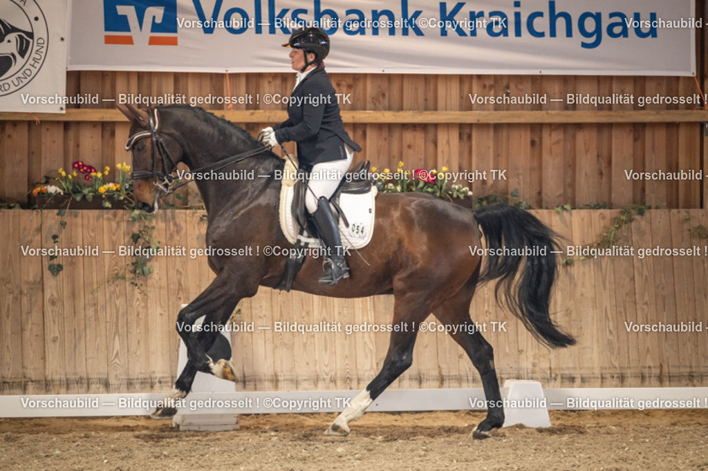 _D5A9231 | Emotionale Pferde- & People-Fotografie rund um Heidelberg, Leimen & Umgebung. Natürliche Fotos von Pferd, Mensch & Familie. Jetzt Termin sichern!