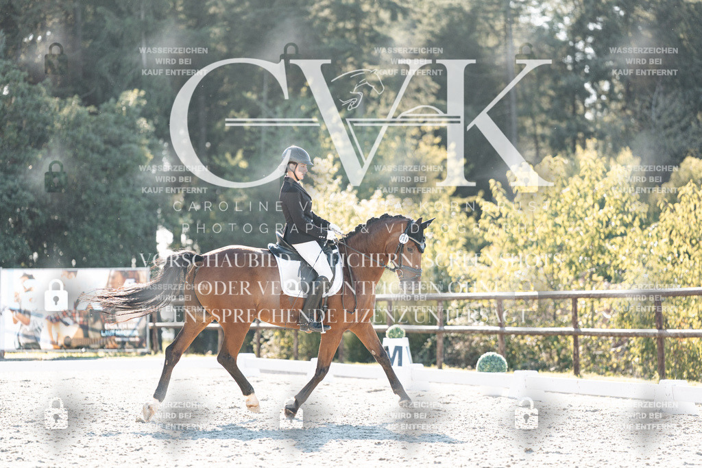 CK906729 | Turnierfotografie Pferdefotografie Trier Rheinland-Pfalz Pferdesport Reitsport Tierfotografie Sportfotografie Pferdevideo Pferdevideografie Equestrianvideography equestrianphotography  - Realisiert mit Pictrs.com