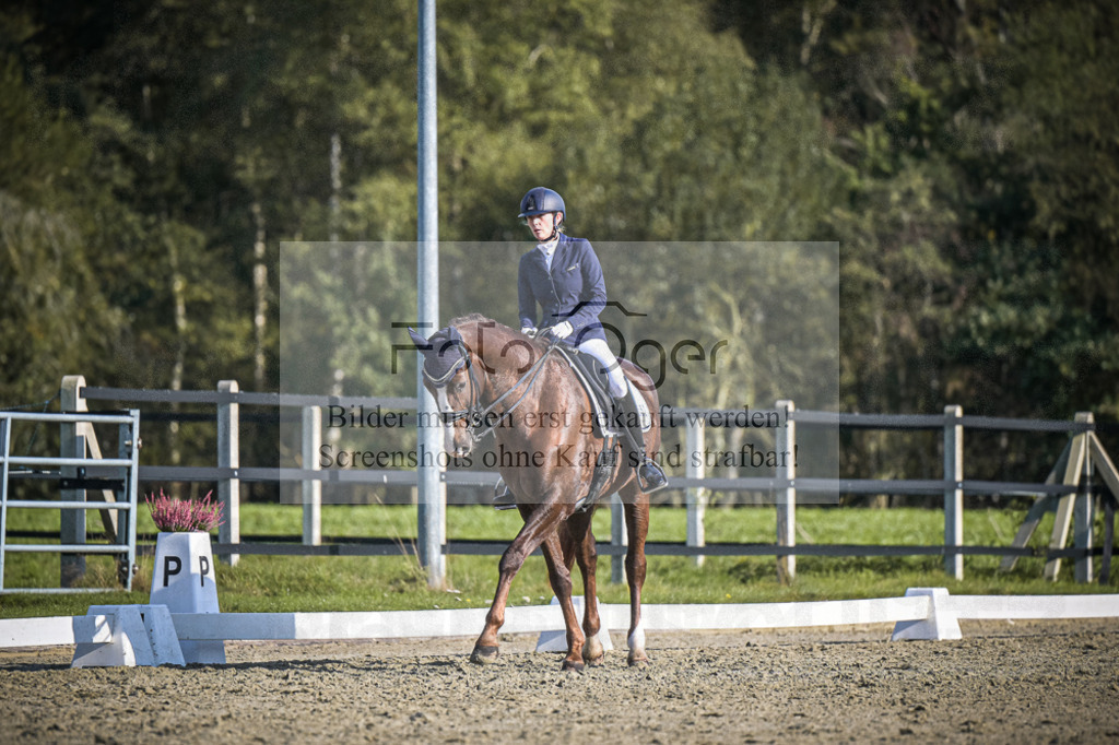 DOS_4963 | Entdecke hochwertige Reitturnierfotos von Foto Oger. Professionell, emotional und authentisch – jetzt Lieblingsmomente im Shop bestellen.Deutschlandweite Turnierfotografie. - Realisiert mit Pictrs.com