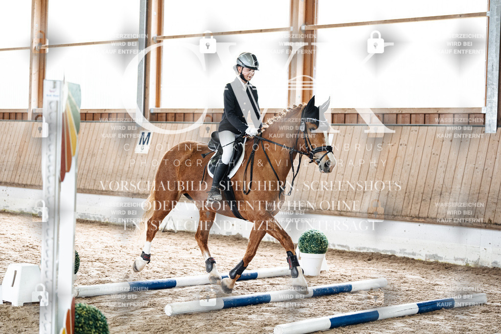 CK902515 | Turnierfotografie Pferdefotografie Trier Rheinland-Pfalz Pferdesport Reitsport Tierfotografie Sportfotografie Pferdevideo Pferdevideografie Equestrianvideography equestrianphotography  - Realisiert mit Pictrs.com