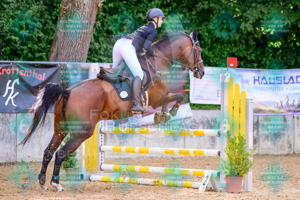 30082026-Giesenbach-Prfg16-0477 | Fokus Hufschlag Fotografie - Realisiert mit Pictrs.com