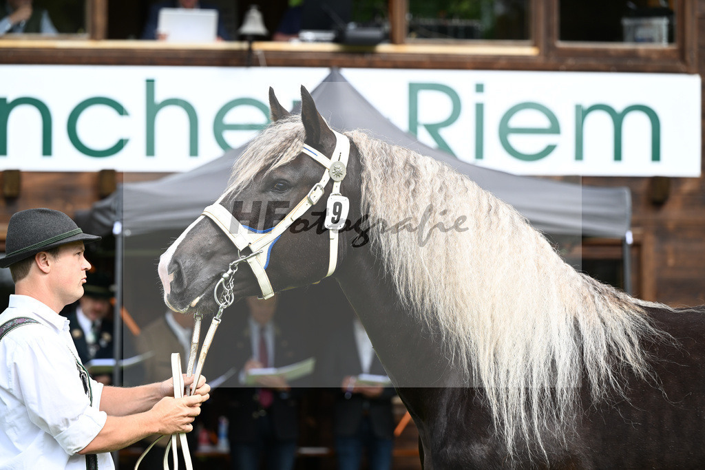 Kat-Nr. 9 Josefine v. Nero_Brenauer_22240151 | hf-fotografie - Realizzato con Pictrs.com
