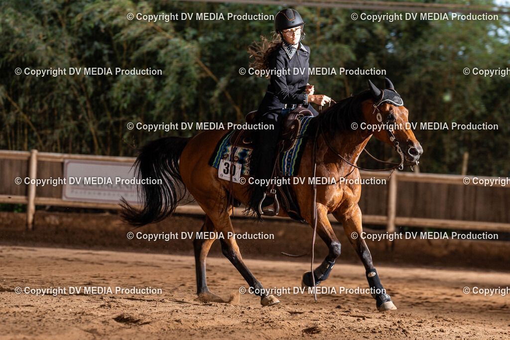 Erbach Tag 1-1188 | dv-media-shop - Realisiert mit Pictrs.com