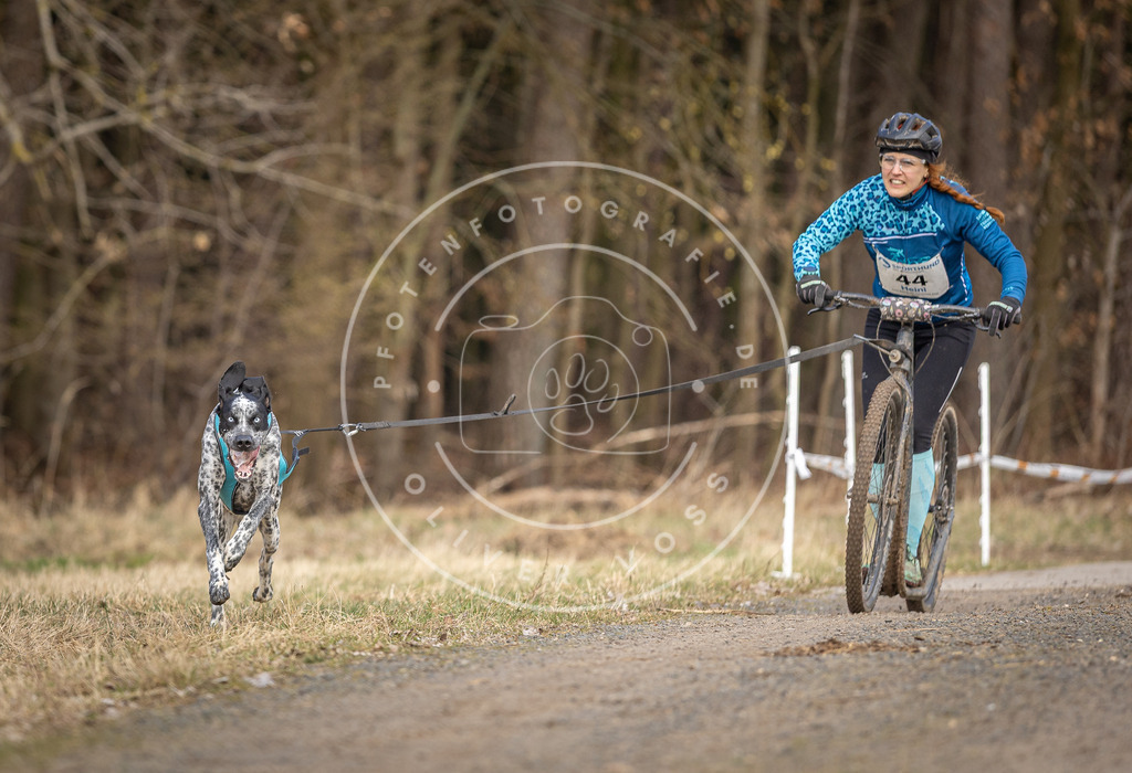 DV3A4644 | Hundefotografie, Tierfotograf, Pfotenfotografie, Fotoshooting Hund, Hunde Portrait, Hundesport, Hundeportraits, Heideshooting, Hunde, Sportfotograf, Hundefotograf, Turnierhundsport, THS,  - Realisiert mit Pictrs.com