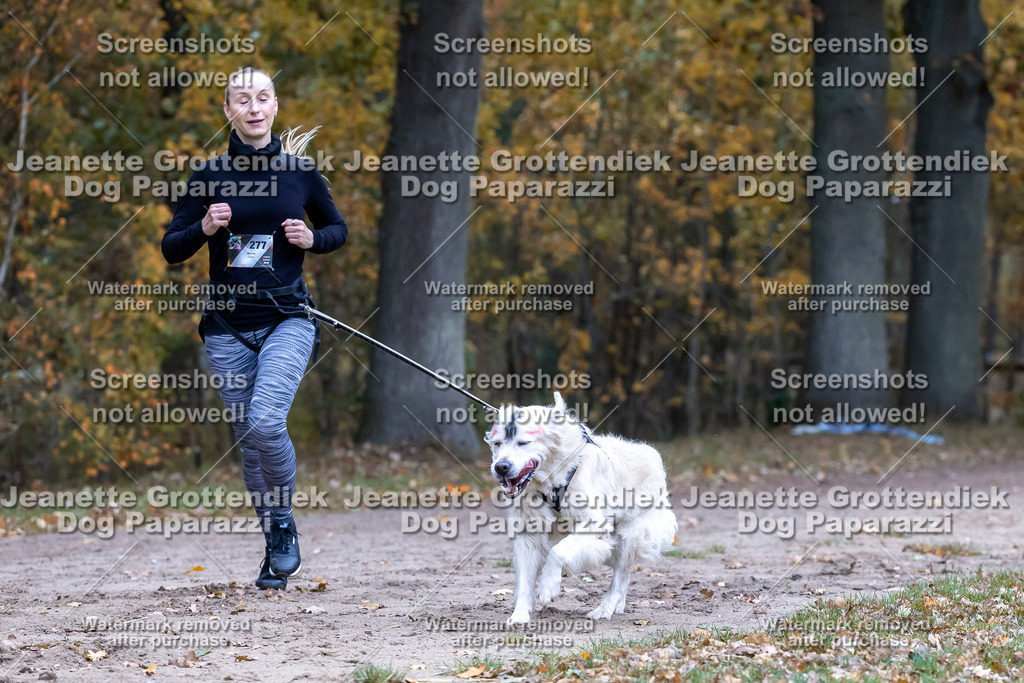 Dog Paparazzi - SD CaniX Championship 2025-556 | Dog Paparazzi Jeanette Grottendiek Fotografie & Videografie - Realisiert mit Pictrs.com