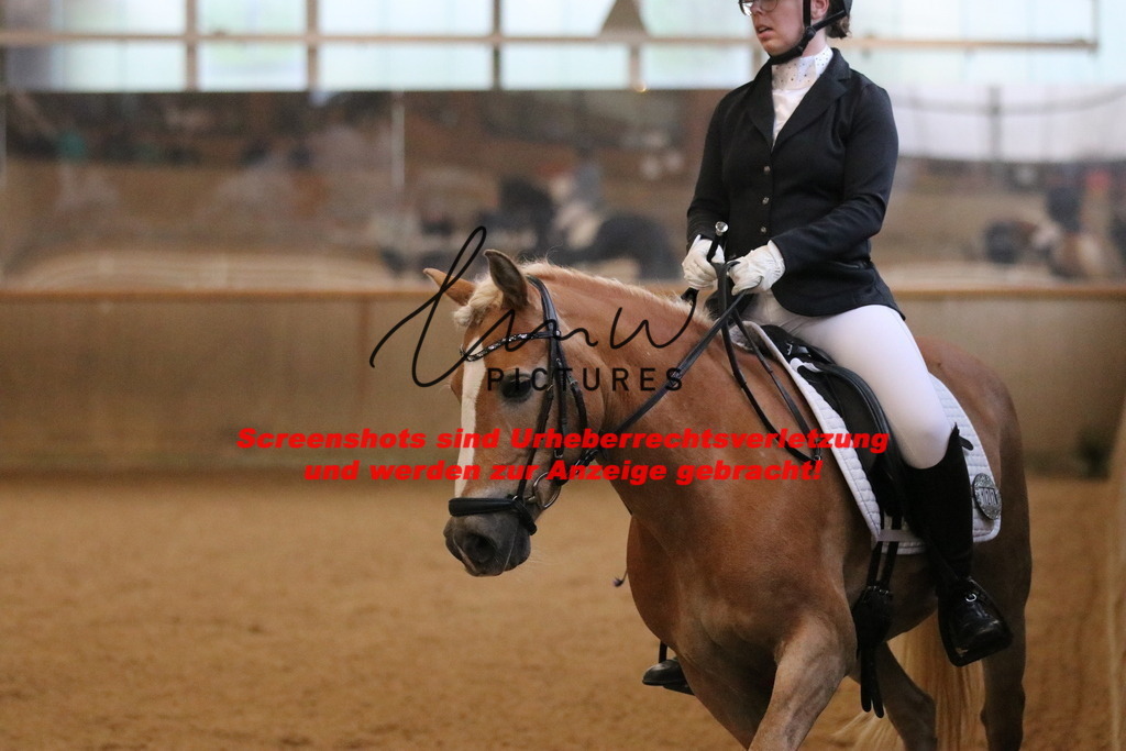 IMG_3483 | lmwpictures - Realisiert mit Pictrs.com