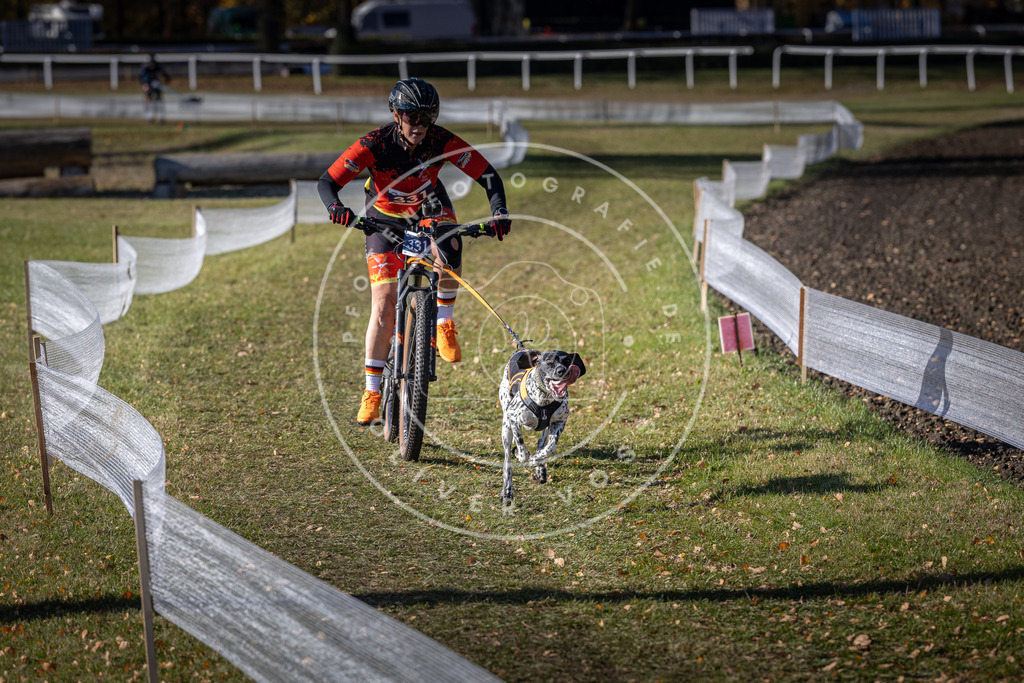 CaniXpix_DV3A6760 | Hundefotografie, Tierfotograf, Pfotenfotografie, Fotoshooting Hund, Hunde Portrait, Hundesport, Hundeportraits, Heideshooting, Hunde, Sportfotograf, Hundefotograf, Turnierhundsport, THS,  - Realisiert mit Pictrs.com