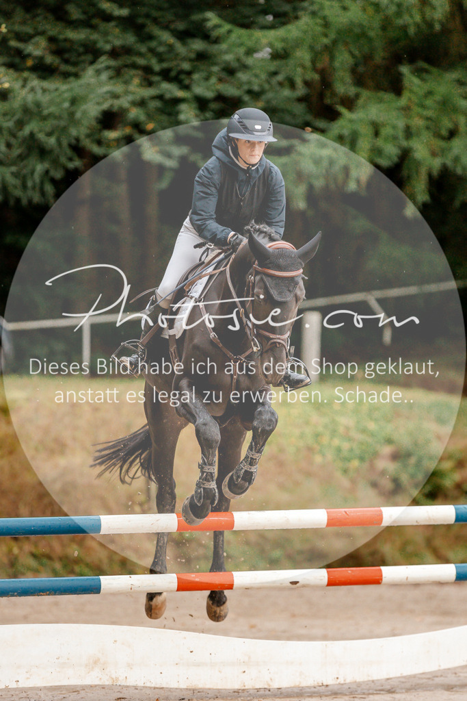 3I6A5539 | Stimmungsvolle Portraits und Reitsportfotografie im Ruhrgebiet und im Münsterland.

Pferdefotografie, Hundefotografie, Tierfotografie, Reportagen, Portraits von Tier und Mensch, Turnierfotografie in Bochum, Recklinghausen, Marl, Haltern am See, Dülmen.. - Realisiert mit Pictrs.com