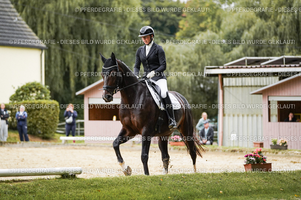 DSC06720 | Pferdegrafie