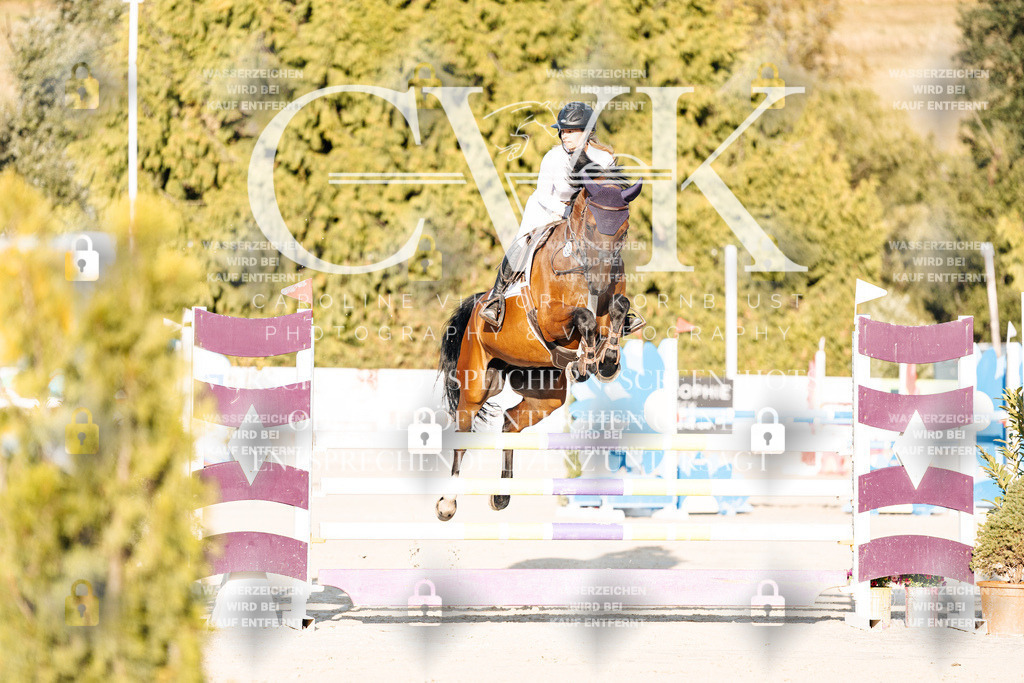 CK900648 | Turnierfotografie Pferdefotografie Trier Rheinland-Pfalz Pferdesport Reitsport Tierfotografie Sportfotografie Pferdevideo Pferdevideografie Equestrianvideography equestrianphotography  - Realisiert mit Pictrs.com