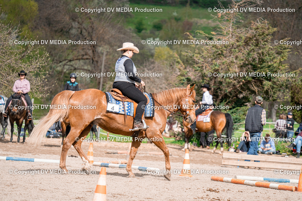 BAL02655 | dv-media-shop - Realisiert mit Pictrs.com