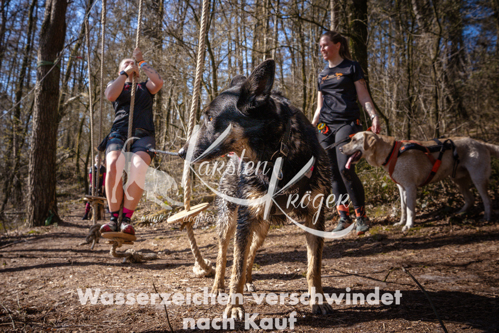 1115_ZZ97168 | kk-dogfotos