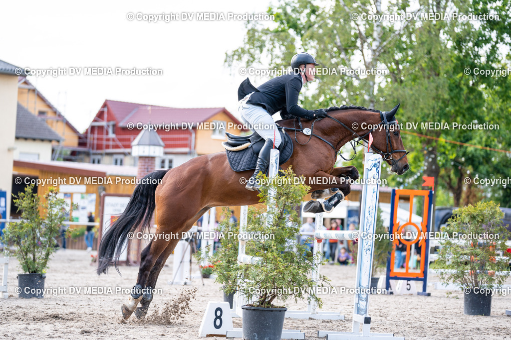 Eppelheim Tag 2-642 | dv-media-shop - Realisiert mit Pictrs.com