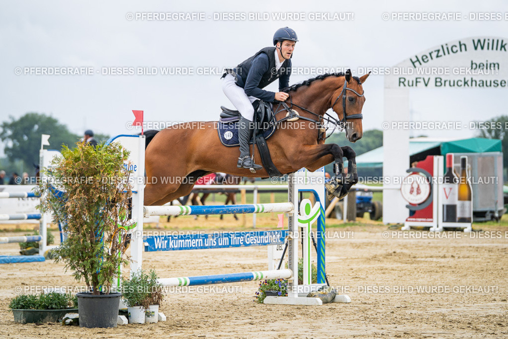 DSC02284 | Pferdegrafie