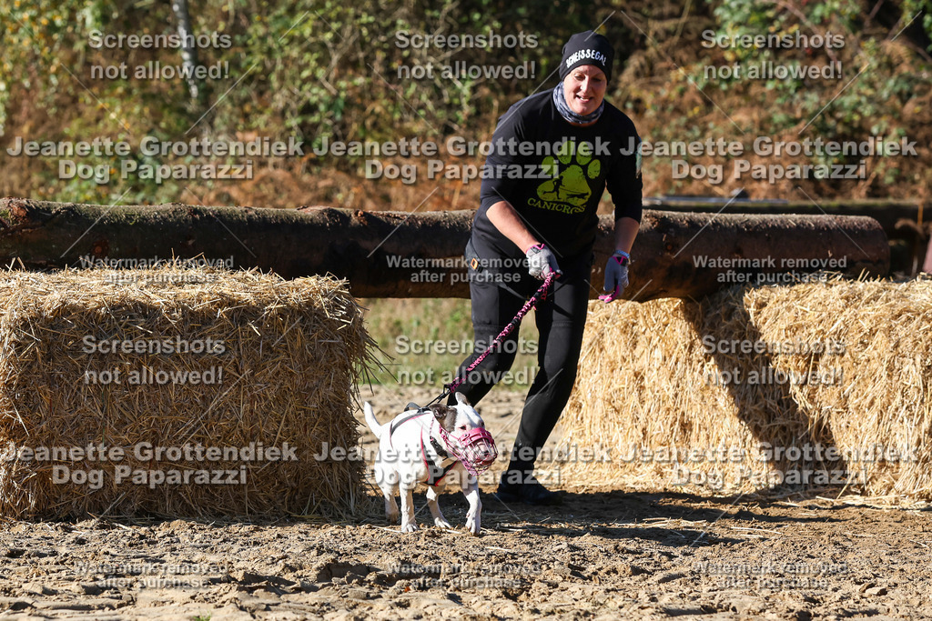 Dog Paparazzi - Strongdog 10-25-2269 | Dog Paparazzi Jeanette Grottendiek Fotografie & Videografie - Realisiert mit Pictrs.com