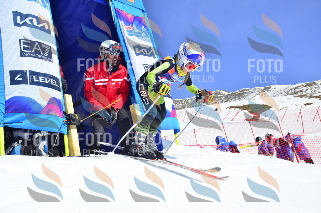 _ELE0256 | holidayphoto