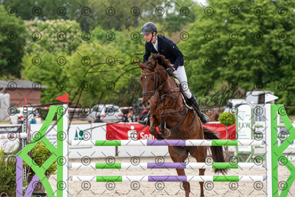 KPT_9980 | andre_photographic