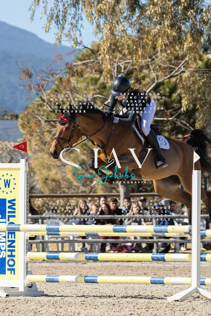 IMG_0871 | s-jay-photography - Realisiert mit Pictrs.com